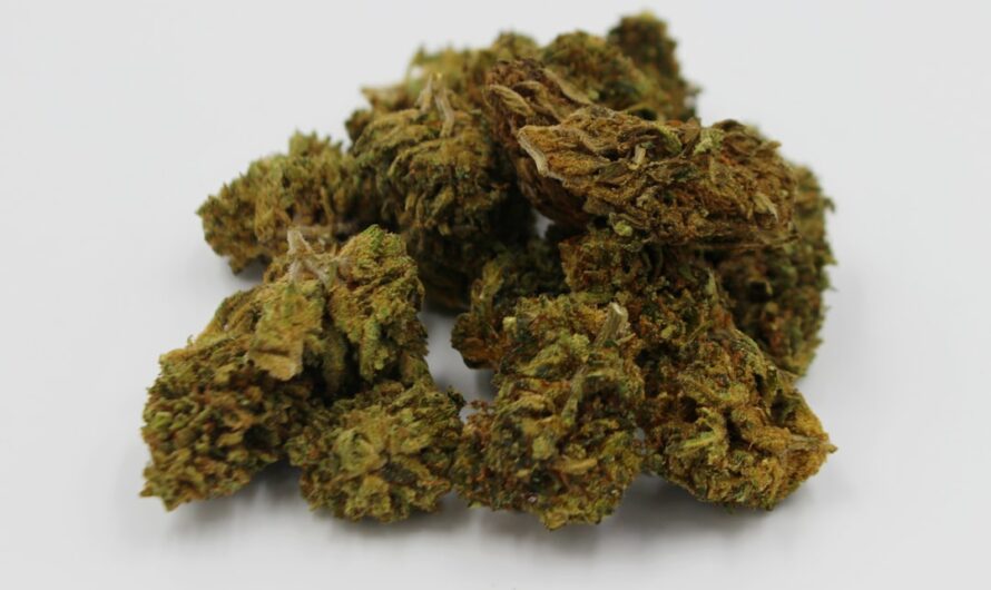 Хранение семян конопли