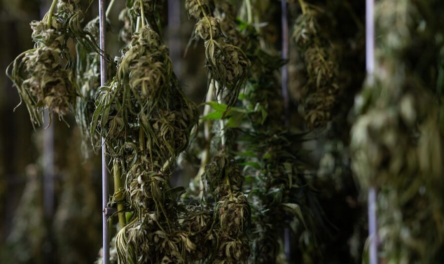 Покупка наркотиков в Москве