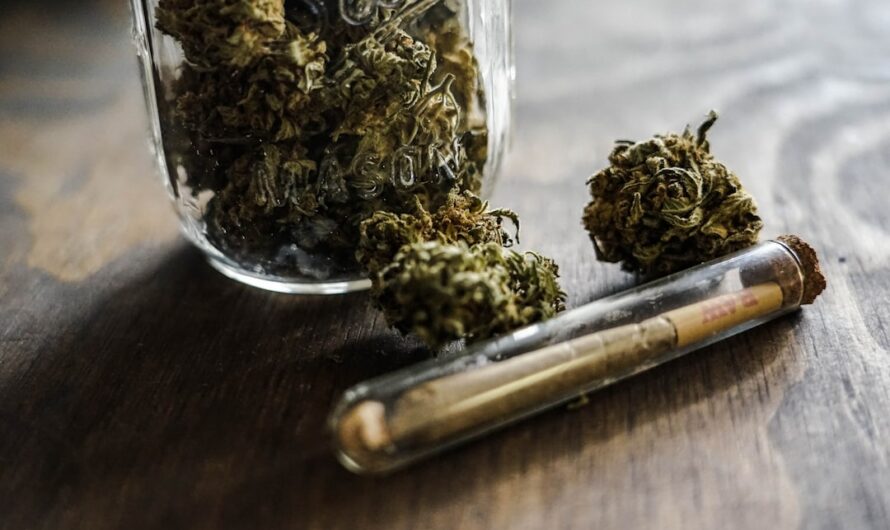 Свойства и применение семян конопли