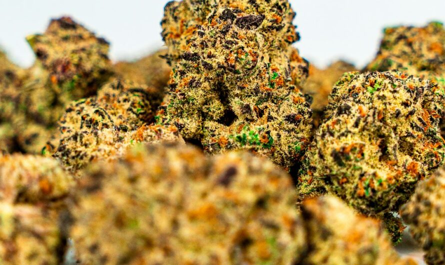 Купить ЛСД в России — Описание и Эффекты ЛСД