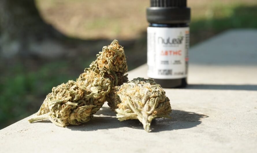 Свойства и Применение Сушеной Конопли и ее Приобретение