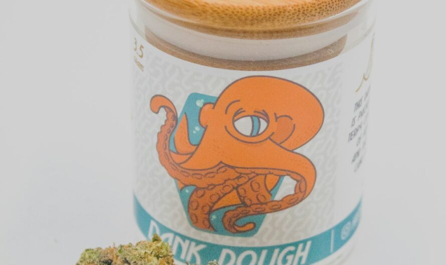 Свойства и применение анаши или марихуаны и конопли