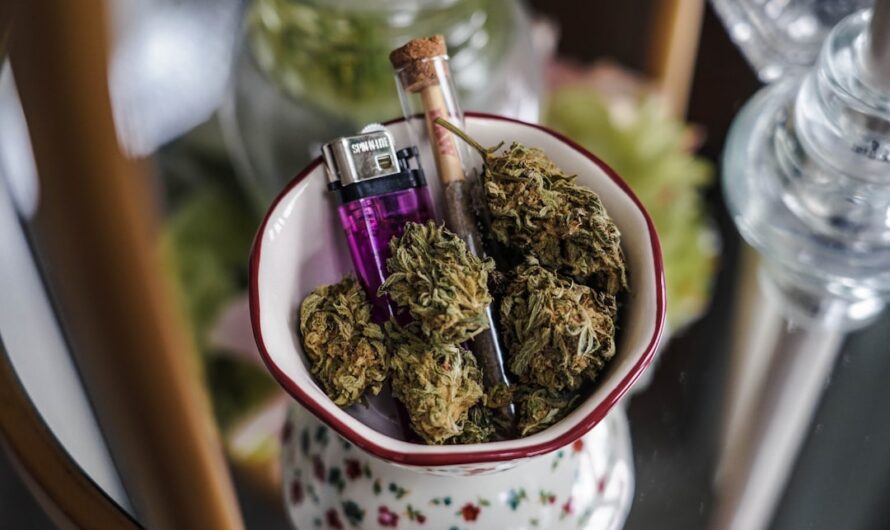 Семена конопли и их применение