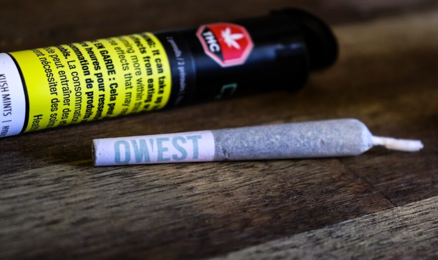 Свойства и применение кодеина в медицине и его легальность в России и Украине