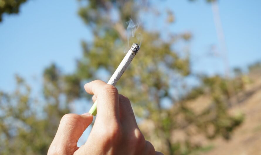 Анаша в Барнауле цена и доступность наркотика