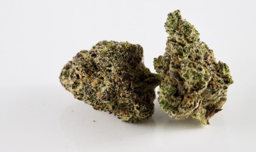 Использование семян конопли в карпфишинге