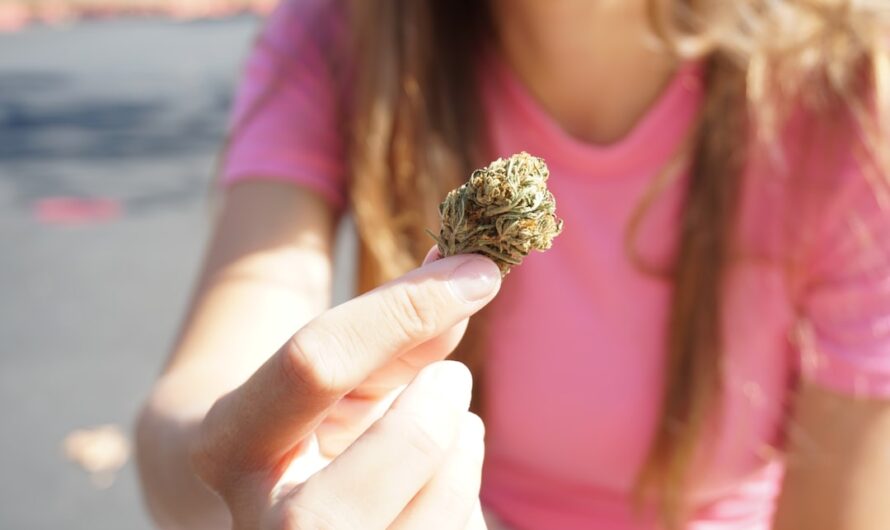 Семена чиа и семена конопли полезные свойства и преимущества для здоровья