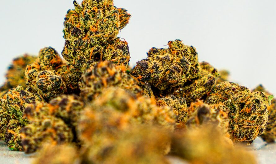 Семена конопли в Москве и их применение