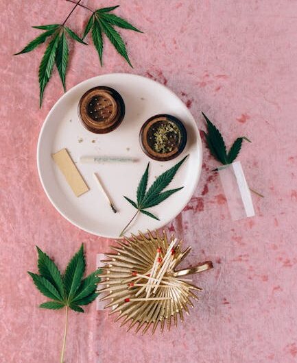 Kraken и его зеркала в даркнете