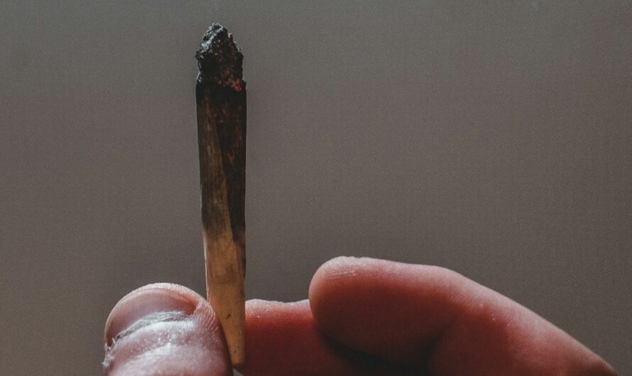 Купить марихуану в Ялте и цена марихуаны в Ялте