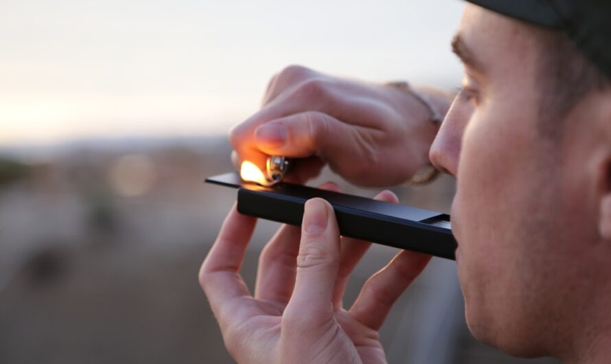 Выращивание конопли с правильного выбора семян