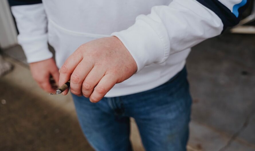 Семена конопли и их характеристики