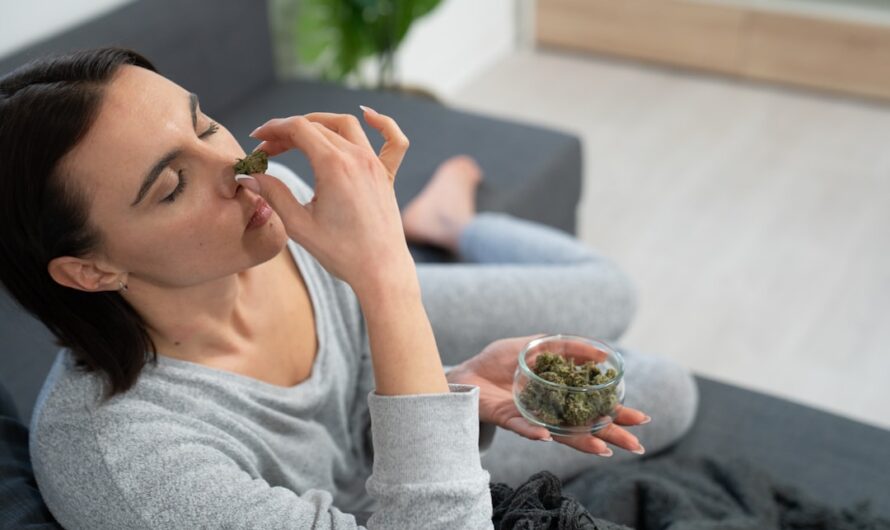 Мыло с семенами конопли полезные свойства и преимущества использования