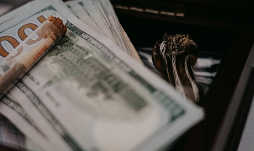 Пророщенные семена конопли полезные свойства и применение