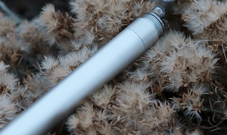 Купить дешевые семена конопли для выращивания в нашем магазине