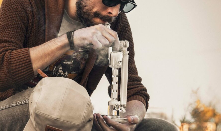 Семена марихуаны в Украине и особенности их приобретения