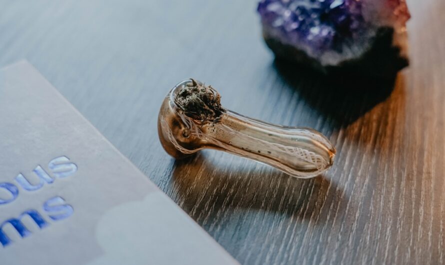 Гашиш в Самарской области и России