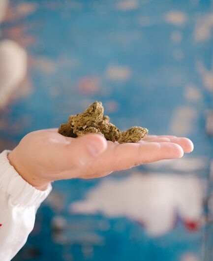 Лекарства без рецептов в аптеках России