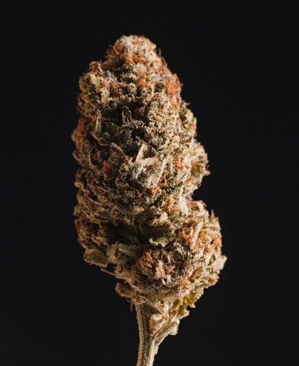 Гашиш на самарском рынке