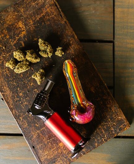 Выращивание марихуаны для начинающих