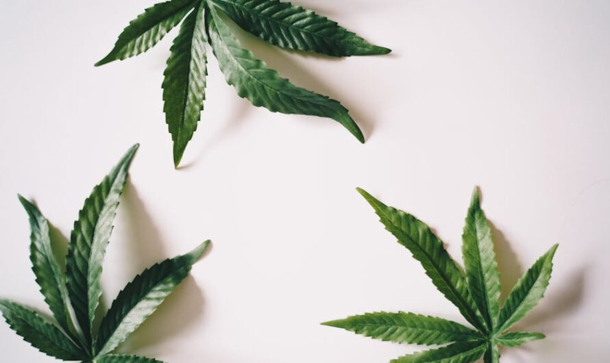 Спайс и его опасность для здоровья