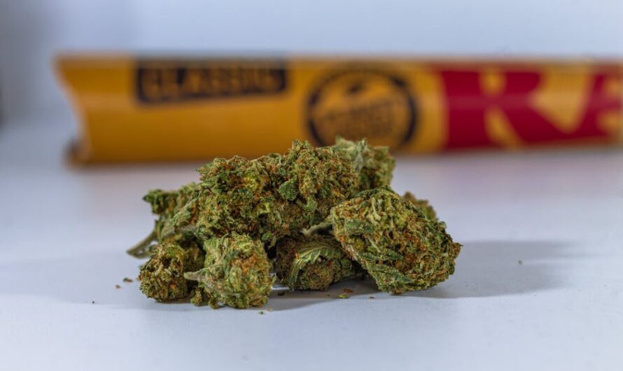 Трубки для курения марихуаны и их разнообразие