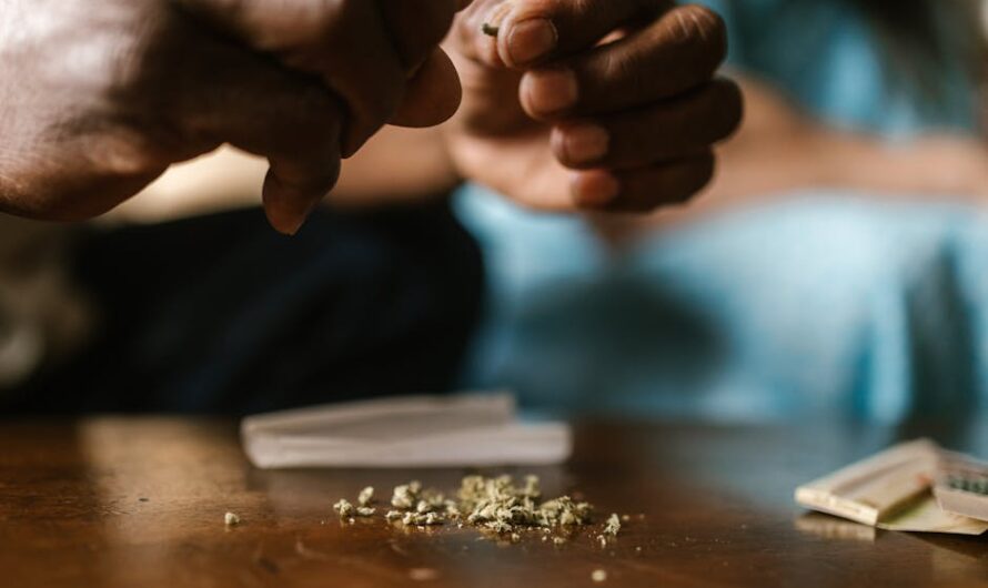 Конопля и ее свойства в России