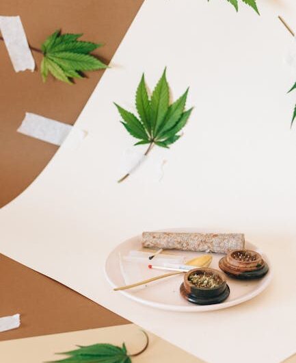 Сортовые семена марихуаны и их характеристики