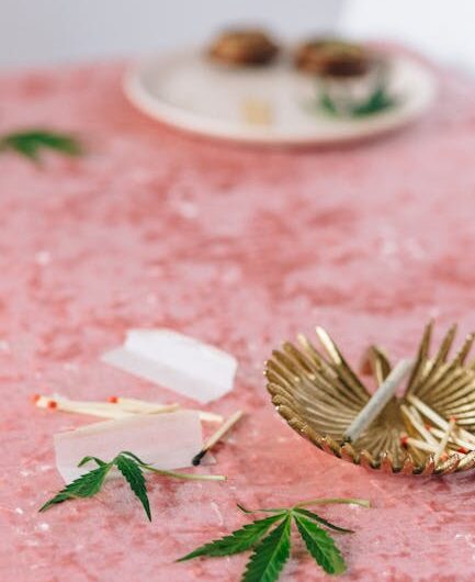 Покупка семян марихуаны в России легально и безопасно